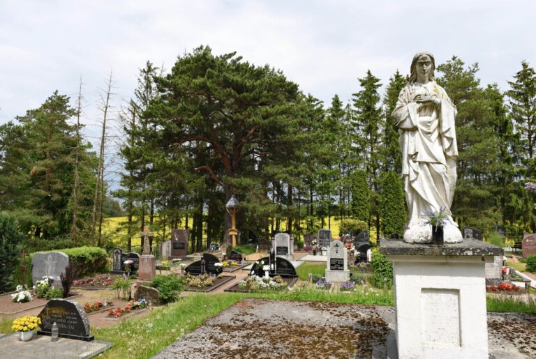 Vainiūnų kapinės