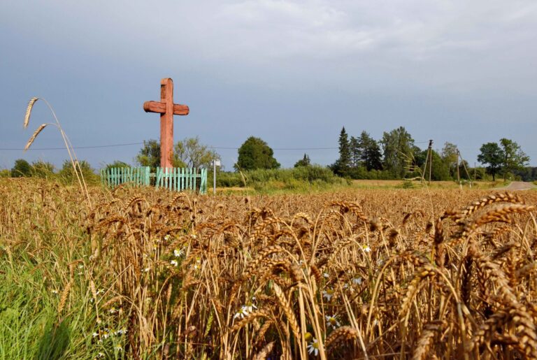 Mikalajūnų kaimo kryžius