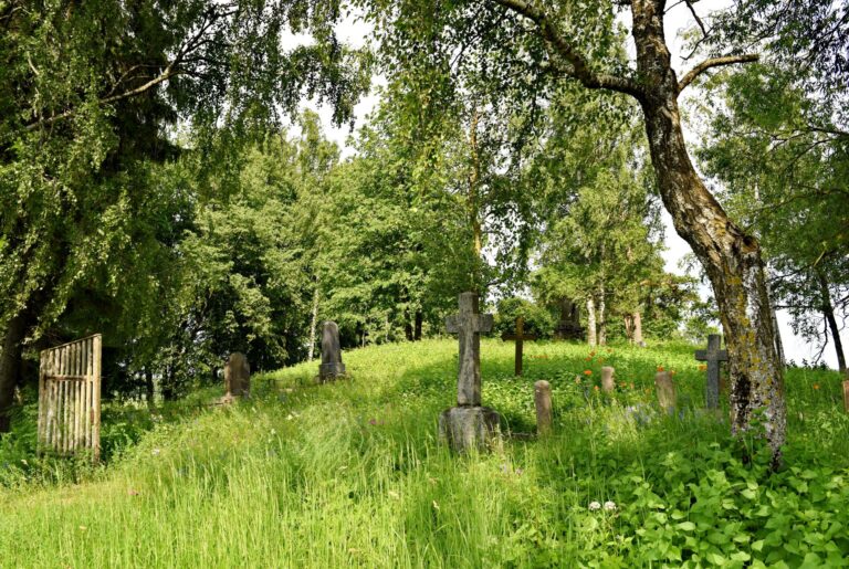 Dūčių kaimo kapinės